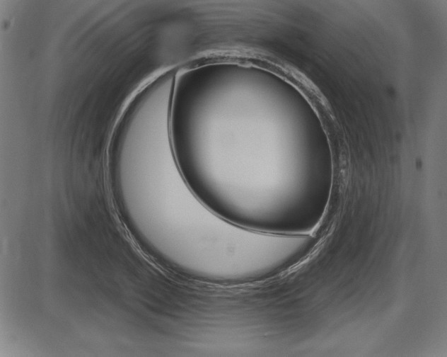 X0000087630981200705030723