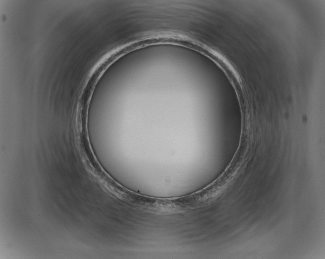 X0000087630983200705030723