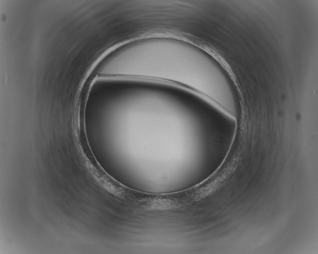 X0000087630984200705030723