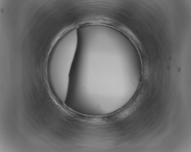 X0000087630986200705030723