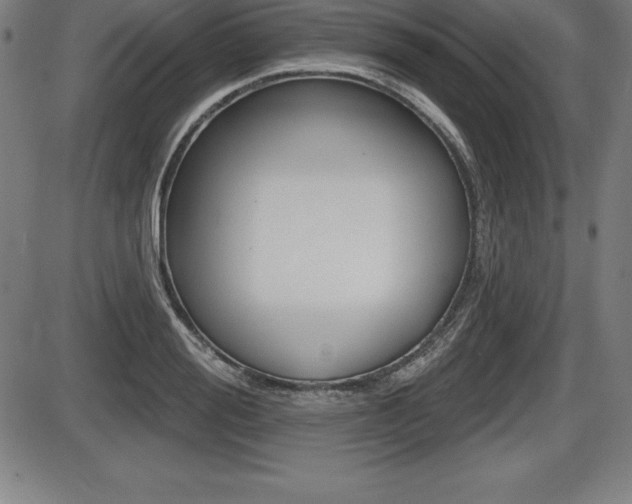 X0000087630988200705030723