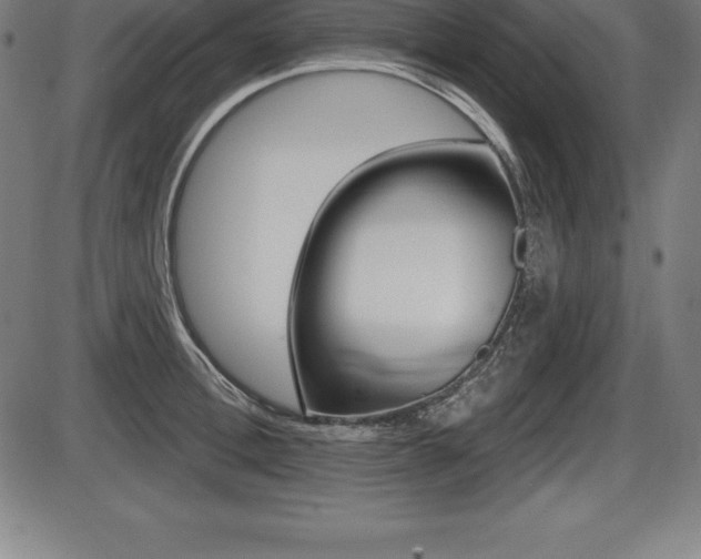 X0000087630996200705030723