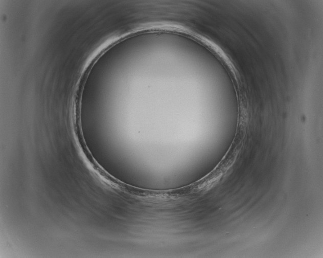X0000087630999200705030723