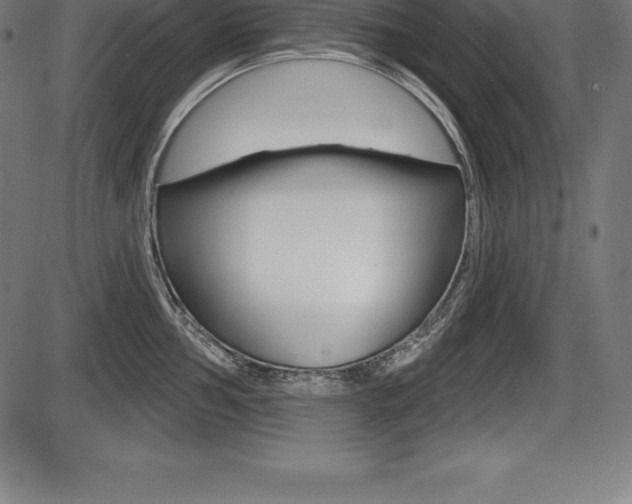 X0000087631002200705030722