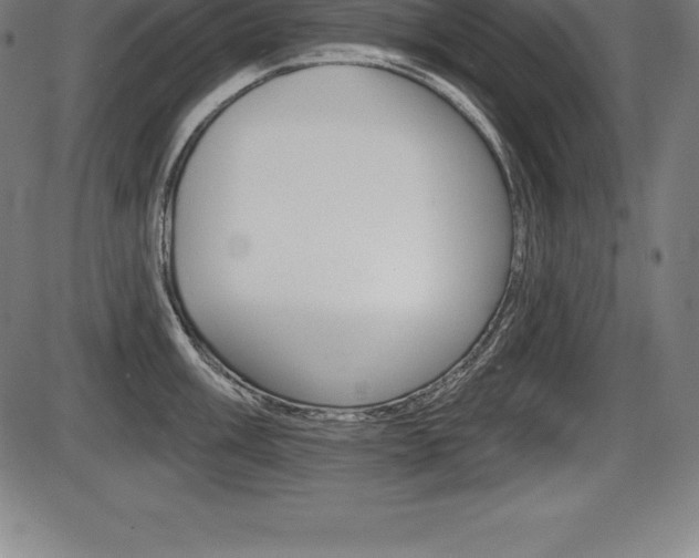 X0000087631003200705030722