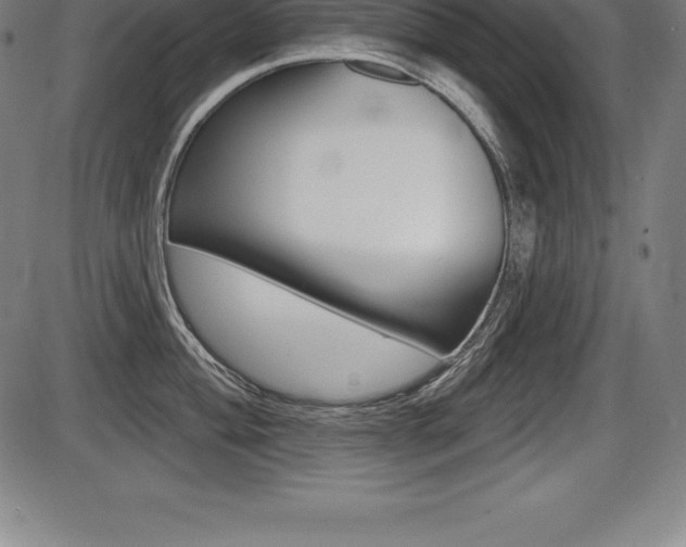X0000087631004200705030722