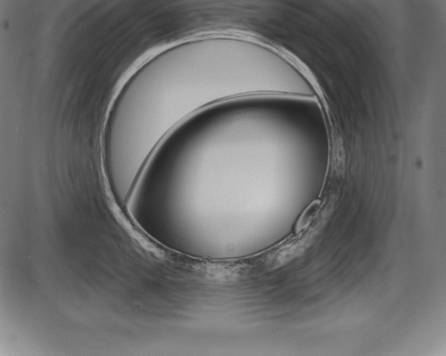 X0000087631005200705030722