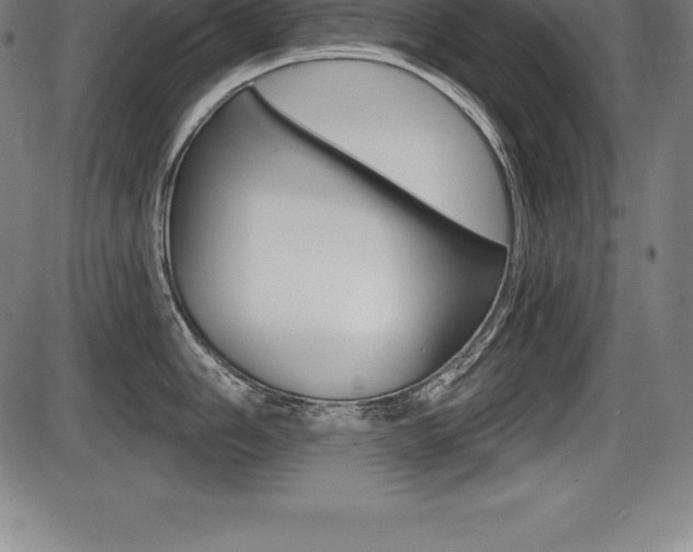 X0000087631006200705030722