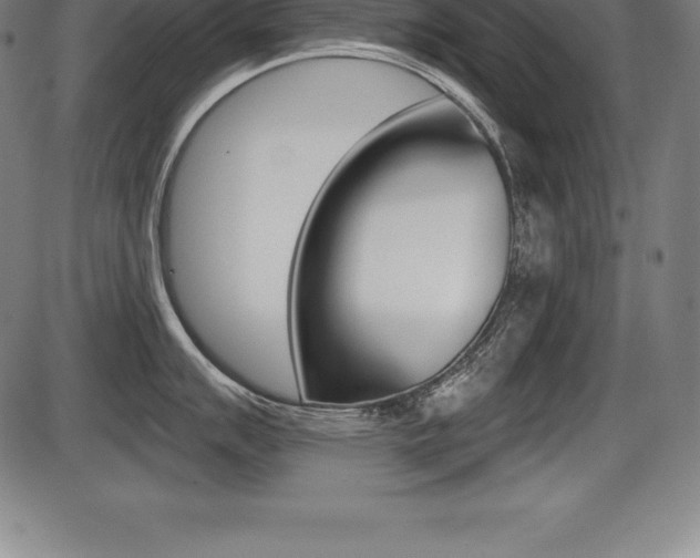 X0000087631007200705030722