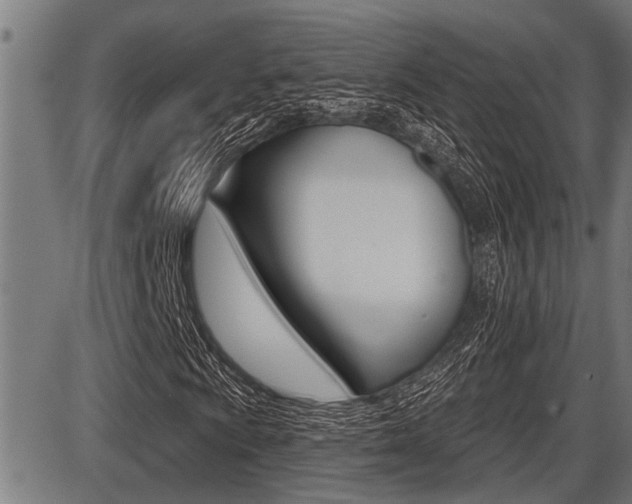 X0000087631009200705030722