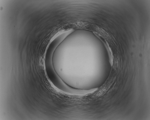X0000087631010200705030722
