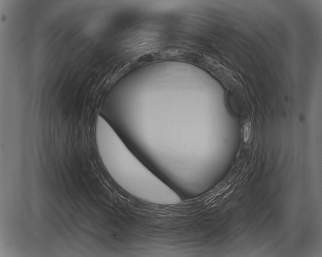 X0000087631011200705030722