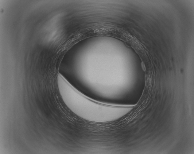 X0000087631012200705030722