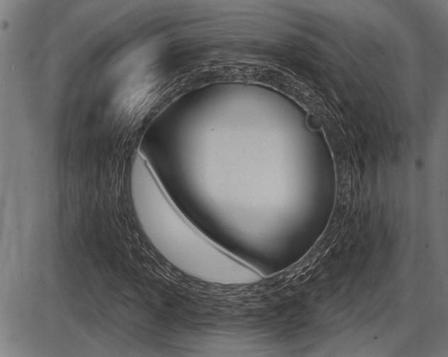 X0000087631013200705030722