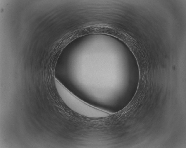 X0000087631014200705030722