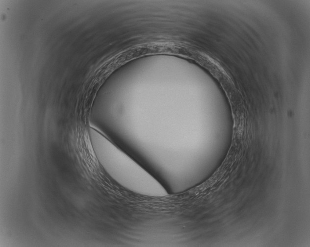 X0000087631015200705030722