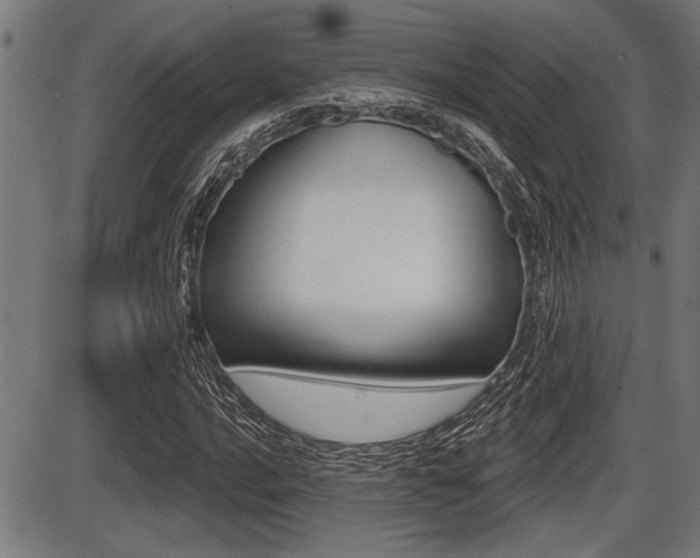 X0000087631016200705030722