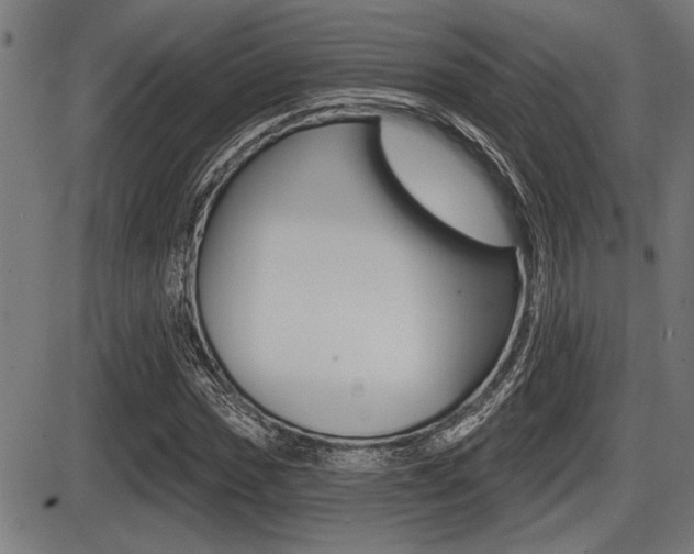 X0000087631017200705030722