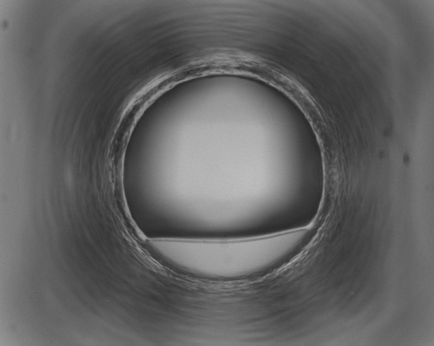 X0000087631018200705030722
