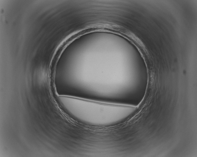 X0000087631020200705030722