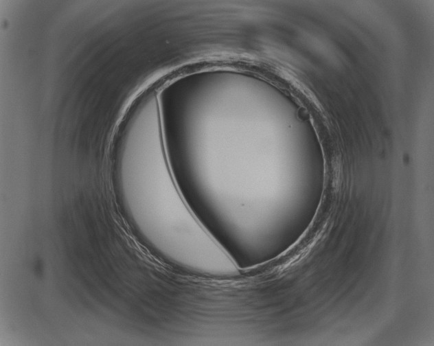 X0000087631021200705030722