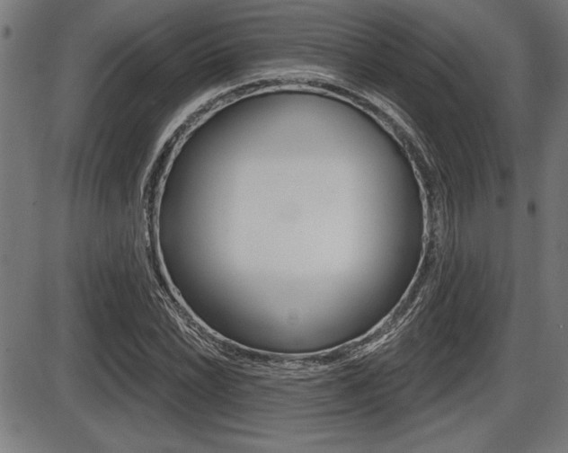 X0000087631022200705030722