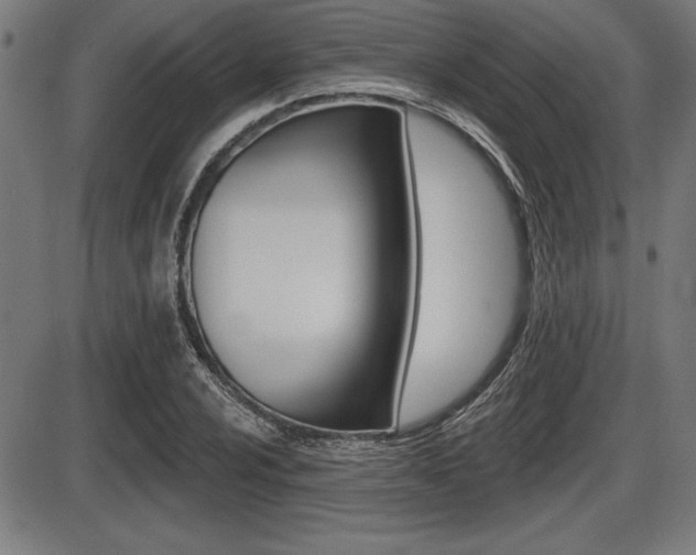 X0000087631024200705030722