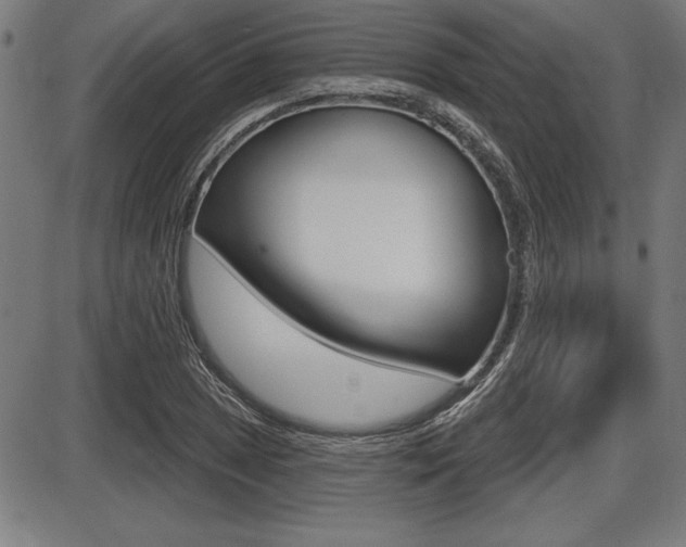 X0000087631025200705030722