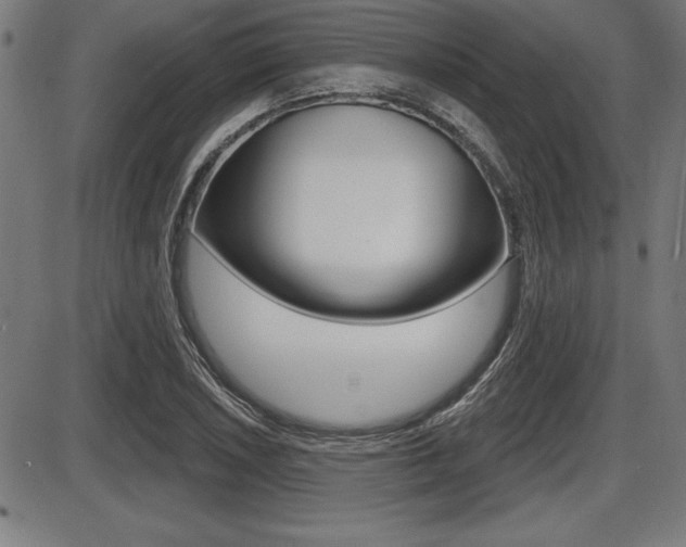 X0000087631026200705030722