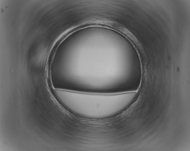 X0000087631028200705030722