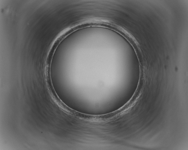 X0000087631029200705030722