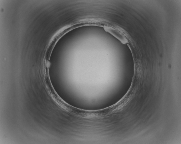 X0000087631030200705030722