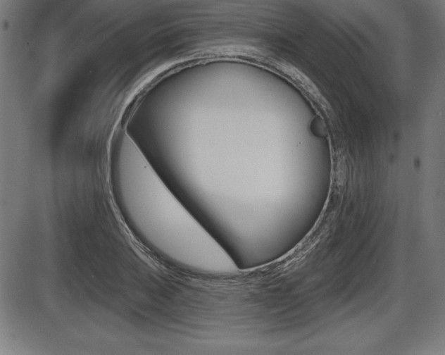 X0000087631031200705030722