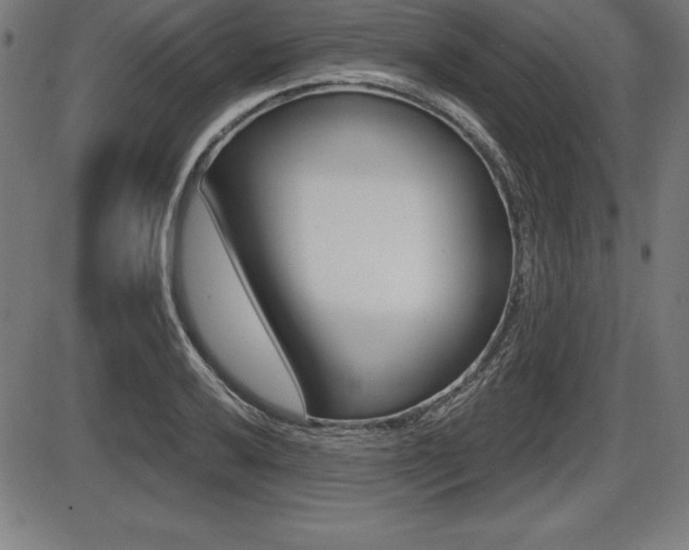 X0000087631032200705030722