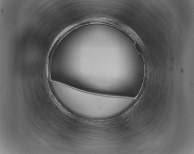 X0000087631036200705030722