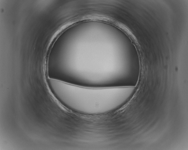 X0000087631040200705030722