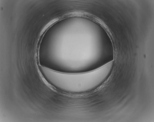 X0000087631042200705030722