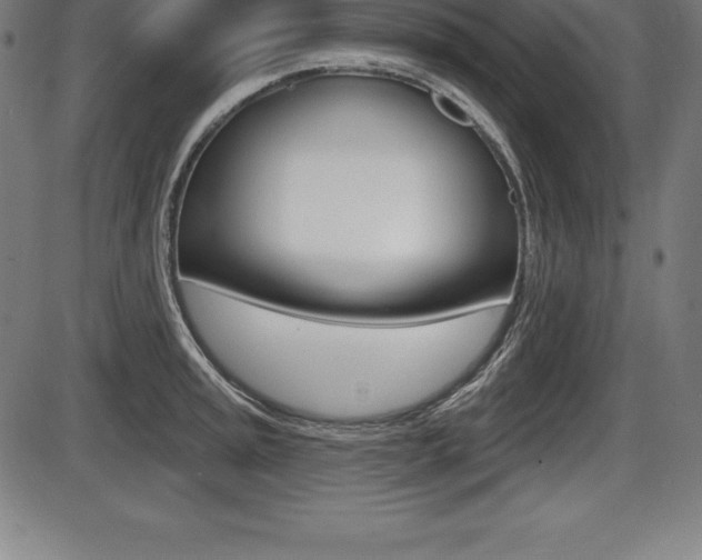 X0000087631045200705030722
