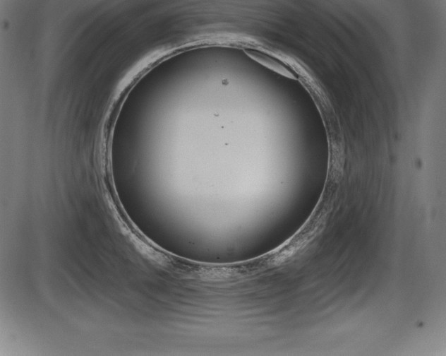 X0000087631046200705030722
