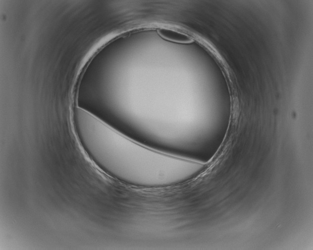 X0000087631048200705030722