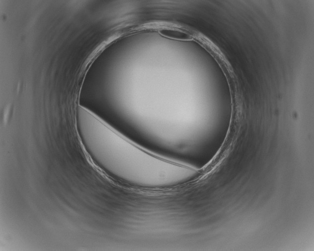 X0000087631049200705030722