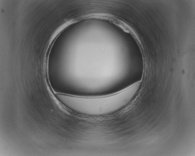 X0000087631050200705030722