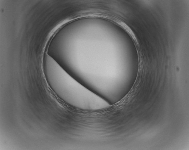 X0000087631051200705030722