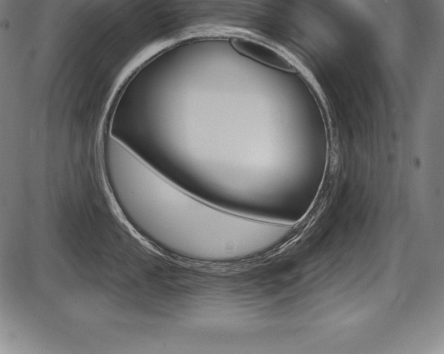 X0000087631053200705030722