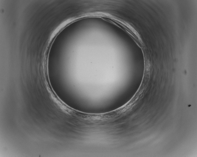 X0000087631054200705030722