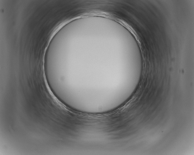 X0000087631055200705030722