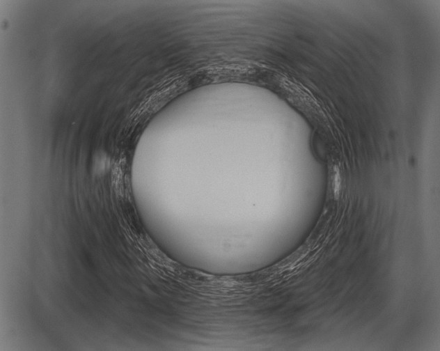 X0000087631059200705030722