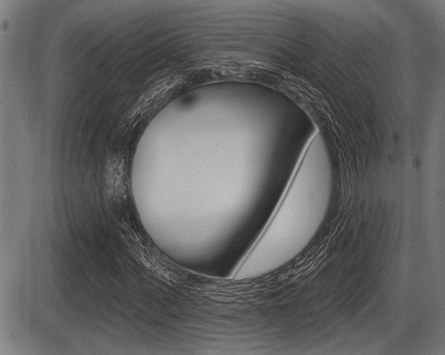 X0000087631060200705030722