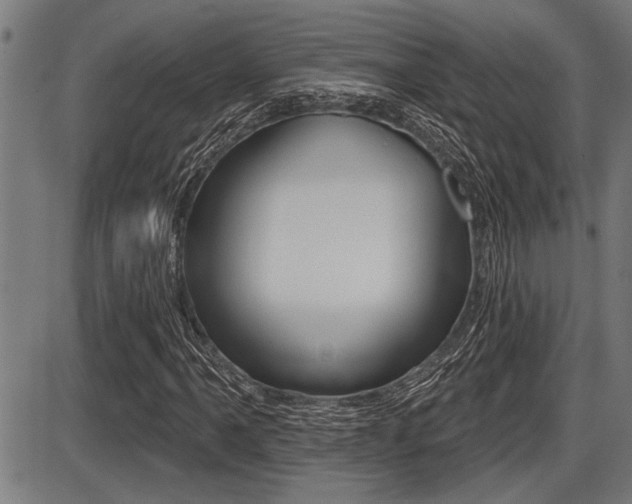 X0000087631061200705030721