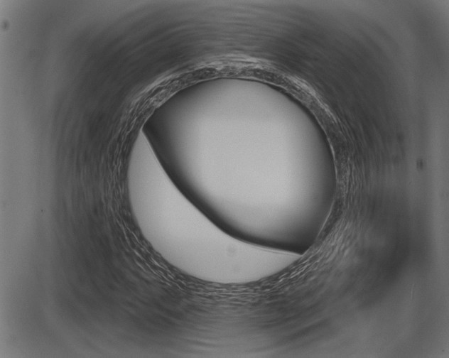 X0000087631063200705030721